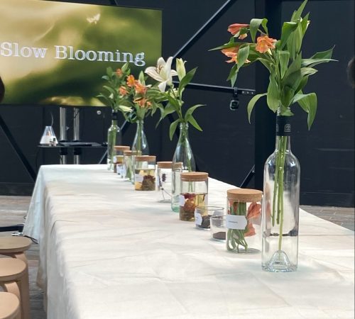 Act one Slow Blooming